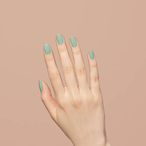 1027 Pretty in Sage