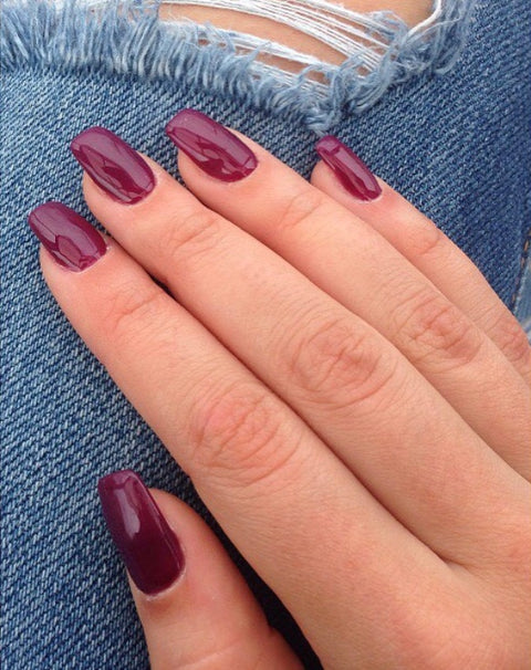 145 Violet Bloom